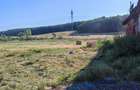Proprietar Vand Teren Intravilan 1,74 Ha si Grajd la Sosea, Comuna Bata, Jud. Arad - 4