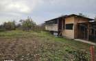 Casa de vanzare + livada pruni