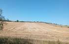 Teren de 32000 mp, în Turmaș