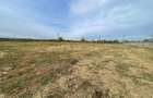 Teren intravilan, 6900 mp, zona Exterior Sud - Craiova (Dolj)