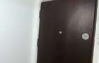 Vanzare 2 camere decomandate-zona Teiul Doamnei-Parc Tei - 8