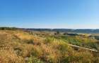 Teren extravilan 6.500 mp Raducesti, Topliceni | 4 km de Ramnicu Sarat