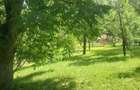 Teren de vanzare, Prahova, Comarnic, str. Podu Lung nr. 69, 1000mp - 2