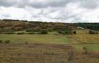 Teren 3,3 ha pentru viata la natura livada, liniste, Strunga Iasi - 5