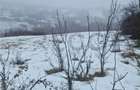 RECO, teren extravilan, Zona Sinteu, Bihor - 2