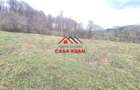 Teren extravilan Valea Doftanei 20.500 mp 6e mp - 13