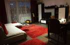 Apartament 2 camere_conacul Castanilor - 9