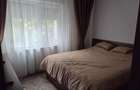 Dau in chirie apartament 2 camere tip PB, zona Nufarul ,str. Bumbacului - 2
