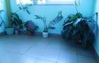 Chirie apartament 3 camere, zona linistita - 10