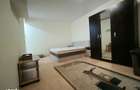 Apartament fain cu 1 camera (42 mp) str Porii - Floresti - 3