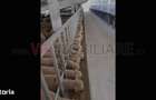 *Ferma moderna pentru export miei | 6 ha | Standarde europene | Aproap - 6