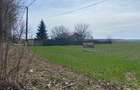 Teren intravilan | 5000 mp | Snagov