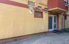 Apartament/Spatiu Comercial - 2