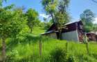Casa gospodarului, înconjurată de natură, Comarnic - 12