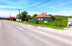 Oportunitate de Investiție. Teren 5.000 mp în Podul Oltului. - 1