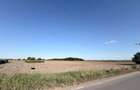 Teren 3.500 mp Gradistea Ilfov | 2.857 mp intravilan | Asfalt | 129.000 - 5