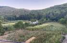Proprietate la poalele Muntilor Apuseni - 7000.m - 4