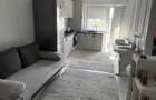 apartament 2 camere open space Visan - 2