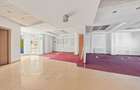 Showroom de vanzare, Calea Romanului - Bacau - 4