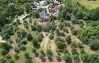 Casa cu teren de 4.800 mp de vanzare in Ocolis, Maramures la doar 7 km de Baia Mare - 1