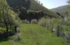 Vand teren, 1510 mp, loc de casa in comuna Lesu, jud Bistrita Nasaud - 8