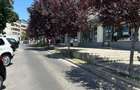 Spatiu comercial pentru inchiriat - 5