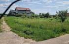 teren de vanzare Clinceni - 3