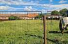 Teren comercial de vanzare, 4400 mp, acces asfaltat - 1