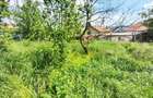 Teren intravilan de 2108 mp, cu casa, zona excelenta, Dambul Rotund - 10