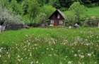 Teren intravilan 800 mp Darste Brasov - 8