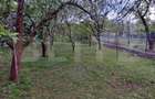 Teren, 600 mp, zona Bercu Rosu - 2