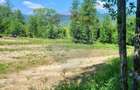 Oază de liniște – teren de vânzare 6.725 mp