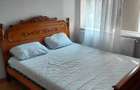 Apartament cu 2 camere de vanzare Brazda lui Novac - 9