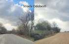 Teren extravilan langa strada Odobesti/ Livada Steluta - 15