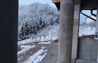 De vanzare Casa cu teren 15 arii Corunca, Vatman, Valea Iubirii - 6