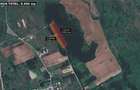Vand teren intravilan 8.600 mp Rediu, Iasi, la marginea padurii - 1