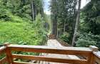 Chalet & A-Frame Rucar | Business Turistic Premium, 2107mp - 18