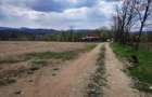 Teren 26500mp investitie dezvoltator imobiliar km 7 Calea Caransebesului 11 euro negociabil - 7