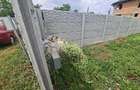Loc de casa - Teren bals - 3