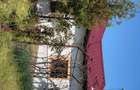 Casă cu 3 camere în Tătărăștii de Sus - 6