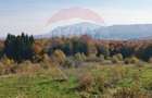 Teren ideal pentru glamping in Vladeni, aproape de Bra?ov - 8