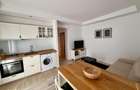 Studio dublu Ansamblul Rezidential Cosmopolis - 2