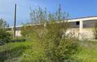 Ferma de vanzare in localitatea Bestepe - 10