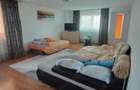 Casa P+1+M, Leamna de jos, teren 590 mp - 13