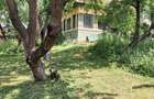 Casa la tara , curte/gradina 3450 m2 PRET NOU - 2