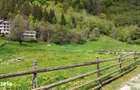 Intravilan | 10.000 mp| Satic-Rucar | Acces facil | Poten?ial excelent