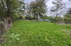 Vand teren Bolintin Deal - 1