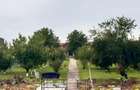 Casa + teren 3000m2 iesire privata cu ponton lac snagov - 2