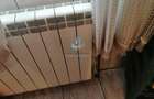 Ap. 3 camere Duplex, Etaj1+Parter stradal, ideal spatiu comercial - 8