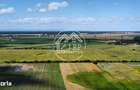 Teren Intravilan 20.000 mp Creata Dascalu, T66 dubla deschidere - 5